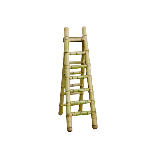 a_bamboo_ladder.png