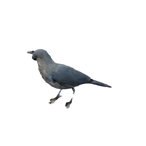 a_bird.png